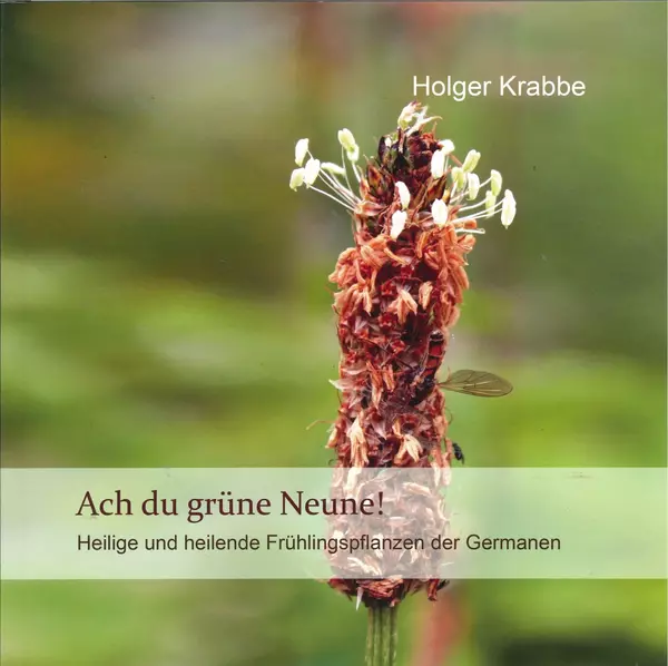 Neu im Museumsshop: Buch: "Ach du grüne Neune!" über die Frühlingspflanzen der Germanen